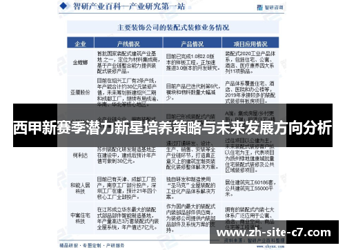 西甲新赛季潜力新星培养策略与未来发展方向分析