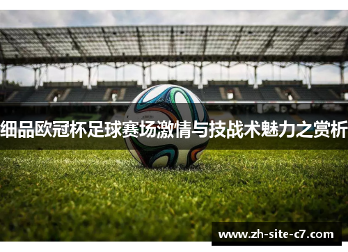 细品欧冠杯足球赛场激情与技战术魅力之赏析