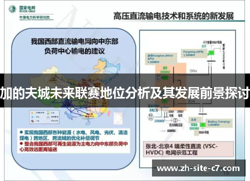 加的夫城未来联赛地位分析及其发展前景探讨