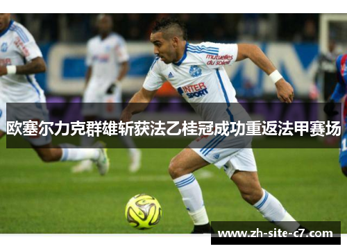 欧塞尔力克群雄斩获法乙桂冠成功重返法甲赛场