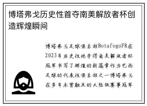 博塔弗戈历史性首夺南美解放者杯创造辉煌瞬间